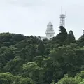 都井岬の写真_579142