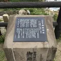 都井岬の写真_579147
