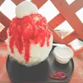 松月氷室（しょうげつひむろ）の写真_581846
