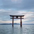 白鬚神社の写真_582819