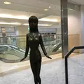 亀有の写真_586725