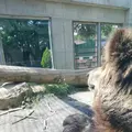 東武動物公園の写真_586765