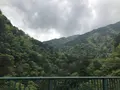 寸又峡の写真_588823