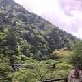 寸又峡の写真_588825