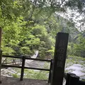 寸又峡の写真_588826