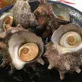 呑み処 ぶらっとの写真_596750