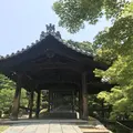 東福寺の写真_599081