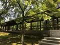 東福寺の写真_599086