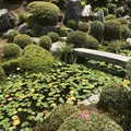 東福寺の写真_599088