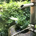芬陀院の写真_599170