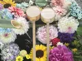 勝林寺の写真_599184