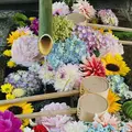 勝林寺の写真_599187
