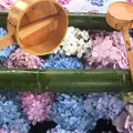 柳谷観音(楊谷寺）の写真_599235