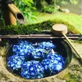 柳谷観音(楊谷寺）の写真_599236