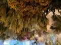 プルミエ・エタージュ （1er ETAGE） の写真_599264