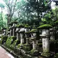 春日大社の写真_599467