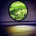 源光庵の写真_599569