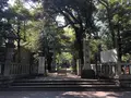 赤坂氷川神社の写真_600392