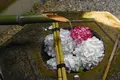 柳谷観音(楊谷寺）の写真_600851
