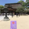 太宰府天満宮の写真_601205