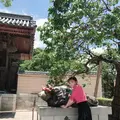 太宰府天満宮の写真_601212
