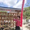 太宰府天満宮の写真_601213