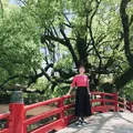 太宰府天満宮の写真_601214