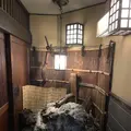 かつ吉 水道橋店の写真_601634