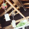水堂須佐男神社の写真_602418