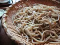 矢打蕎麦の写真_604698