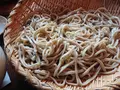 矢打蕎麦の写真_604699