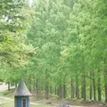 トーベ・ヤンソンあけぼの子どもの森公園の写真_606119