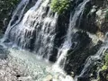 白ひげの滝の写真_608809