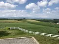 新栄の丘 展望公園の写真_608813