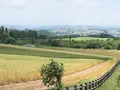 北西の丘 展望公園の写真_608826