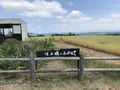 北西の丘 展望公園の写真_608830