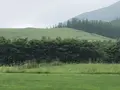 十勝千年の森の写真_608905