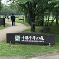 十勝千年の森の写真_608906