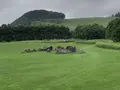 十勝千年の森の写真_608907