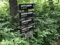 十勝千年の森の写真_608908