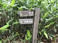 十勝千年の森の写真_608910