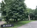 十勝千年の森の写真_608911