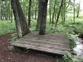 十勝千年の森の写真_608913