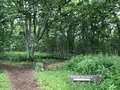 十勝千年の森の写真_608919