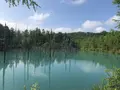 白金青い池の写真_608922
