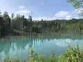 白金青い池の写真_608925