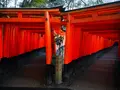 伏見稲荷大社の写真_610566