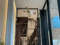 MORIHICO.藝術劇場の写真_612599