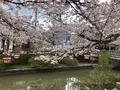 氷見市の写真_612812