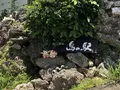 【閉業】お食事処 島の駅の写真_613028